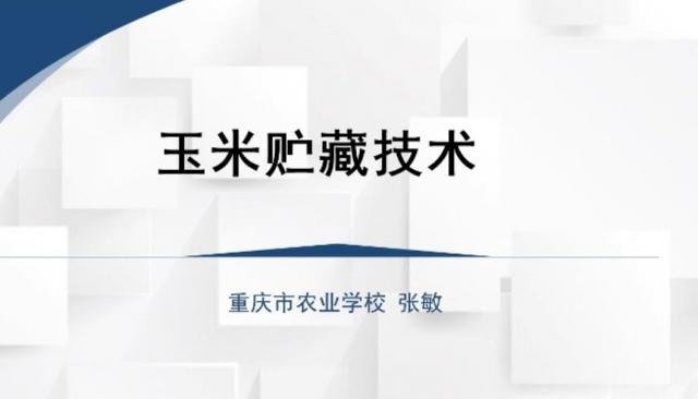 【农技慕课】玉米贮藏技术