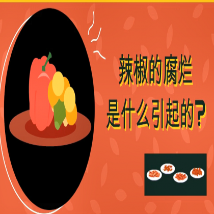 【食物居家科学储存方法】辣椒的腐烂是什么引起的？