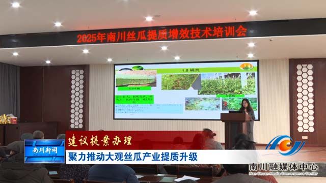 《建议提案办理》聚力推动大观丝瓜产业提质升级