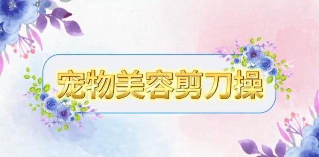 【农技慕课】宠物美容剪刀操