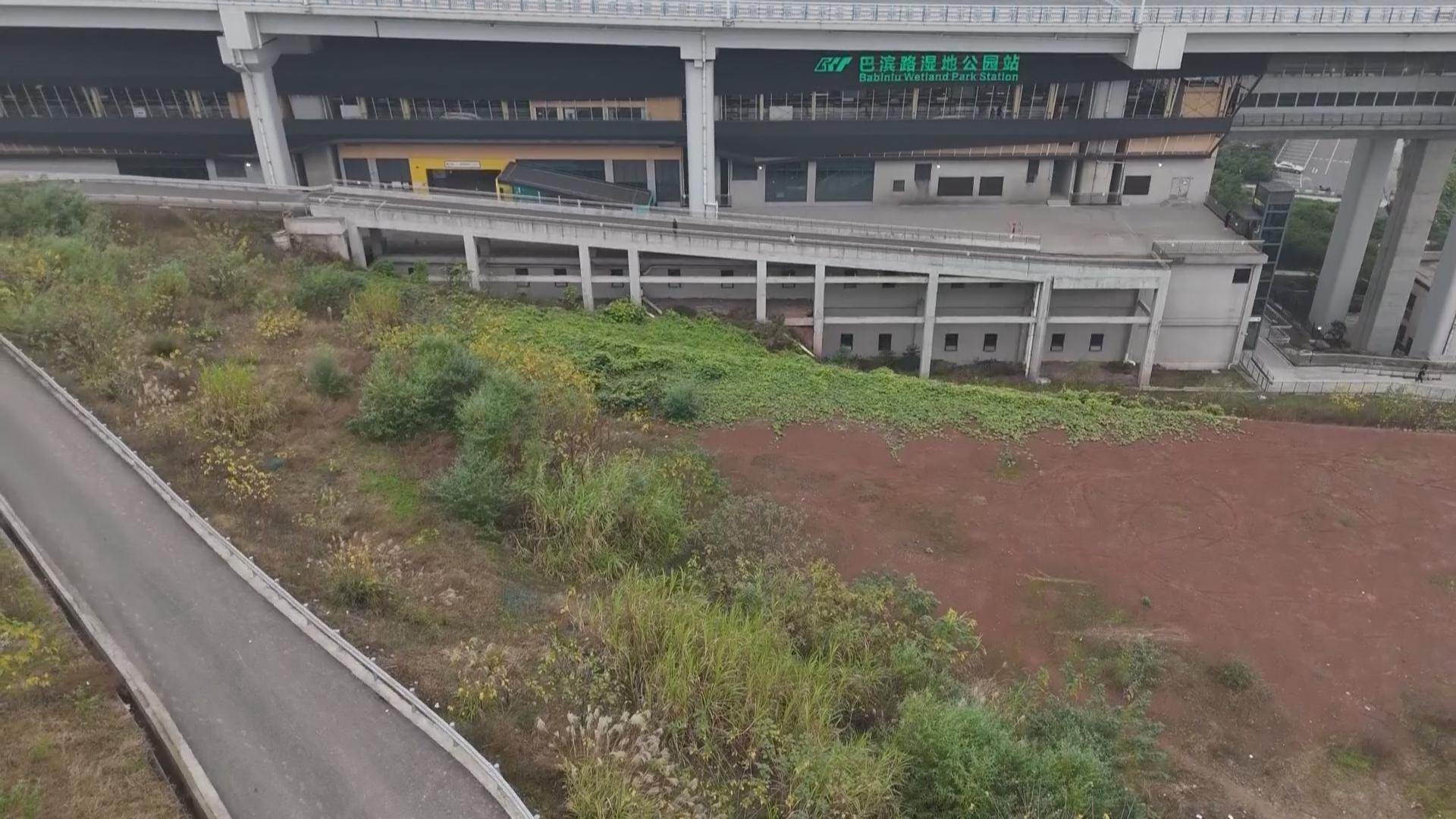 今日关注：风景变荒景 公园管护何时能跟上