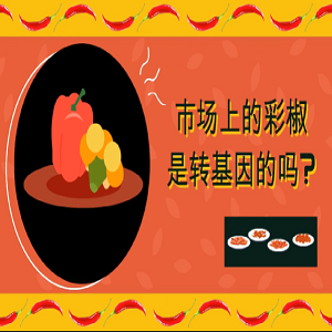 【食物居家科学储存方法】市场上的彩椒是转基因的吗？
