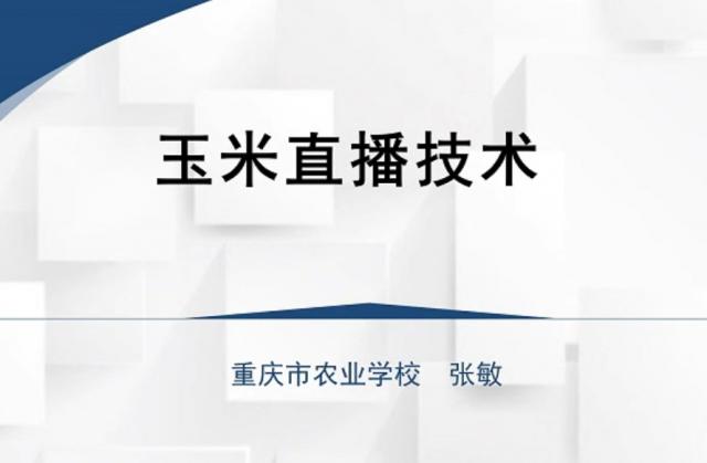 【农技慕课】玉米直播技术
