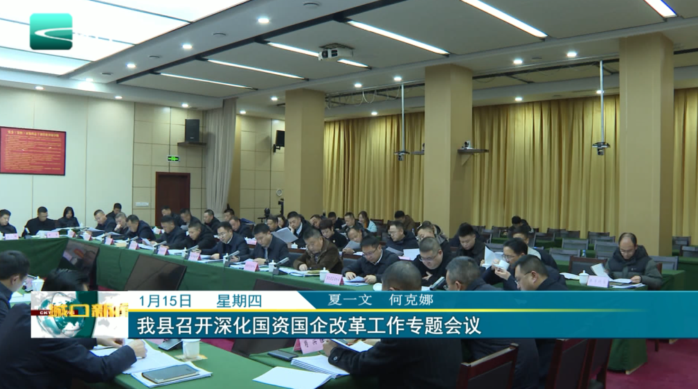 我县召开深化国资国企改革工作专题会议