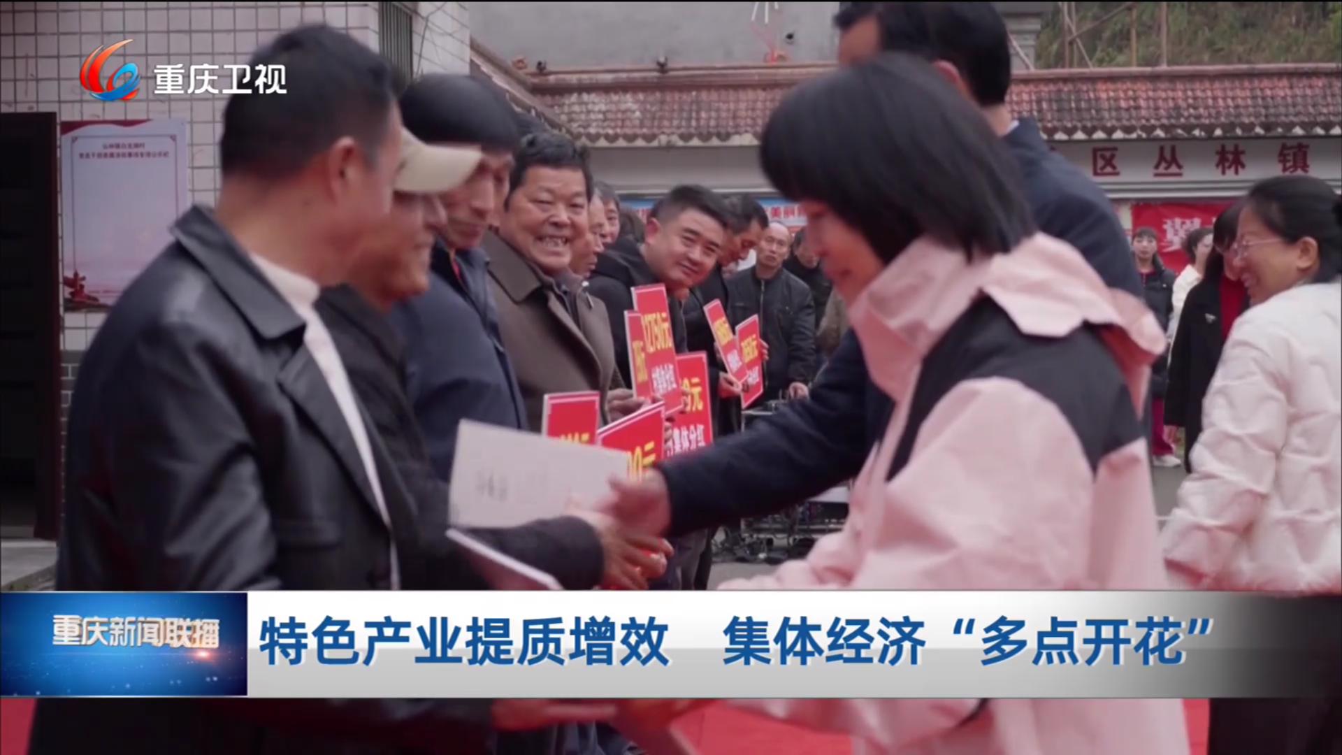 特色产业提质增效 集体经济“多点开花”