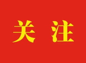 2026九龙坡两会丨拎着“实用礼包”赴会 区政协十一届七次会议报到现场秩序井然