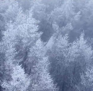 万州：银装素裹 藏在普子乡的冬日浪漫