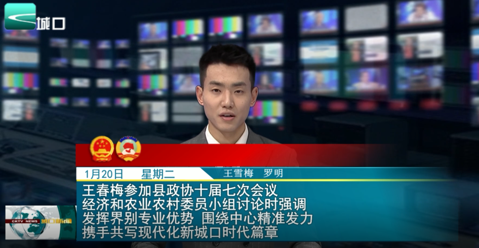 王春梅参加县政协十届七次会议经济和农业农村委员小组讨论时强调 发挥界别专业优势 围绕中心精准发力 携手共写现代化新城口时代篇章