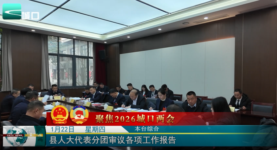 县人大代表分团审议各项工作报告