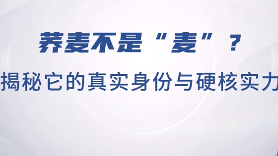 荞麦不是“麦”？揭秘它的真实身份与硬核实力