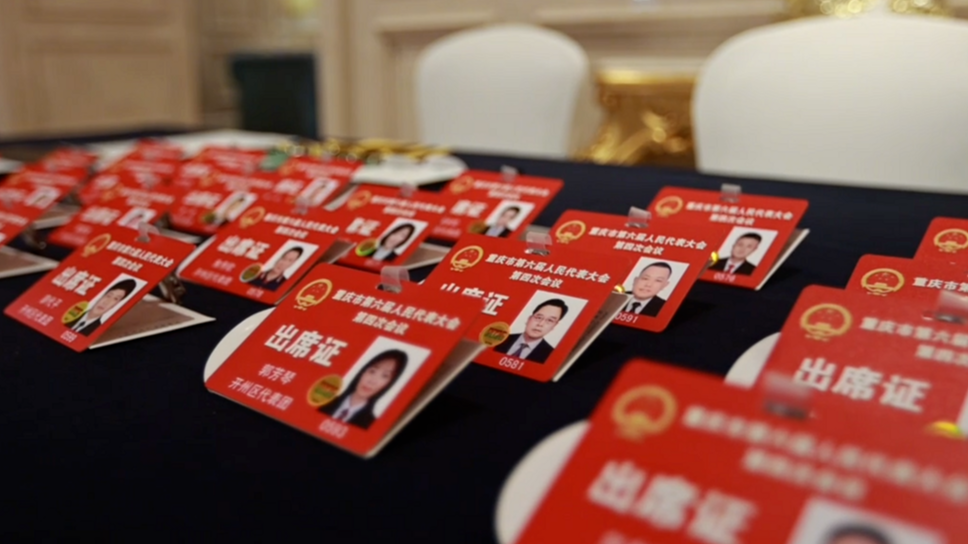 动海报｜你好，重庆两会！ 人大代表怀揣“金点子”向大会报到