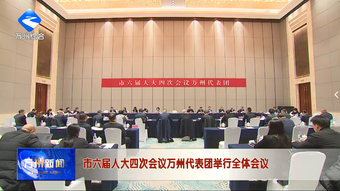 市六届人大四次会议万州代表团举行全体会议