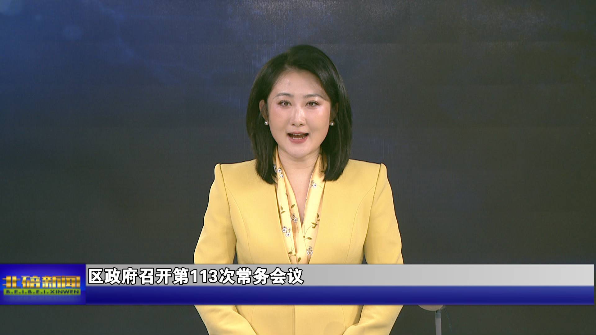 区政府召开第113次常务会议