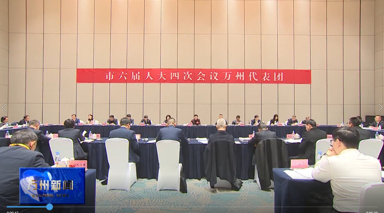 市六届人大四次会议万州代表团审议市政府工作报告 卢红李庆王频封波参加