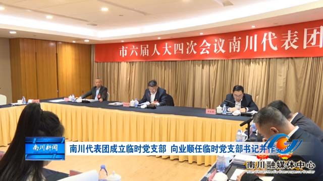 《重庆两会传真》南川代表团成立临时党支部 向业顺任临时党支部书记并作要求
