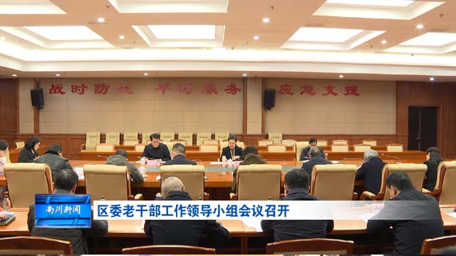 区委老干部工作领导小组会议召开