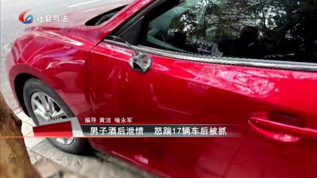 男子酒后泄愤 怒踹17辆车后被抓