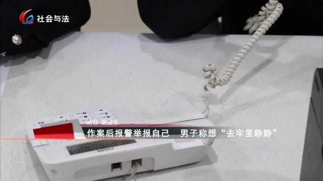 作案后报警举报自己 男子称想“去牢里静静”