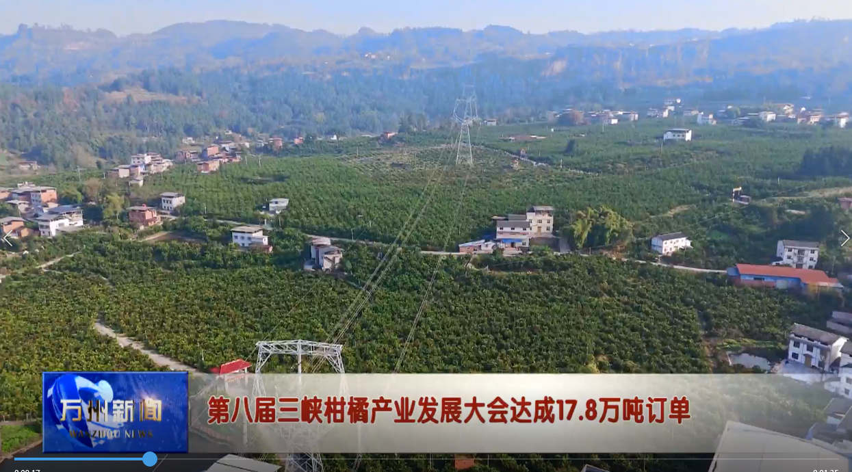 第八届三峡柑橘产业发展大会达成17.8万吨订单