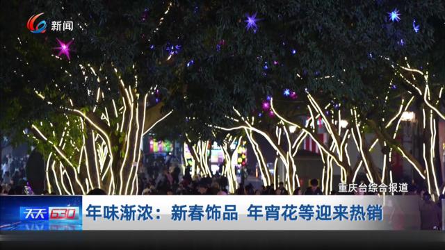 年味渐浓：新春饰品 年宵花等迎来热销