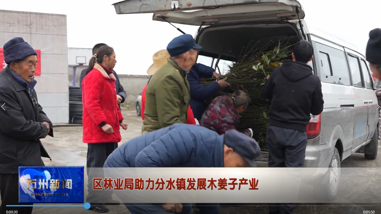 区林业局助力分水镇发展木姜子产业