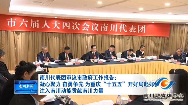 南川代表团审议市政府工作报告：凝心聚力 奋勇争先 为重庆“十五五”开好局起好步注入南川动能贡献南川力量