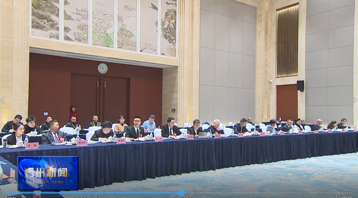 市六届人大四次会议万州代表团审查计划报告和预算报告 王频参加