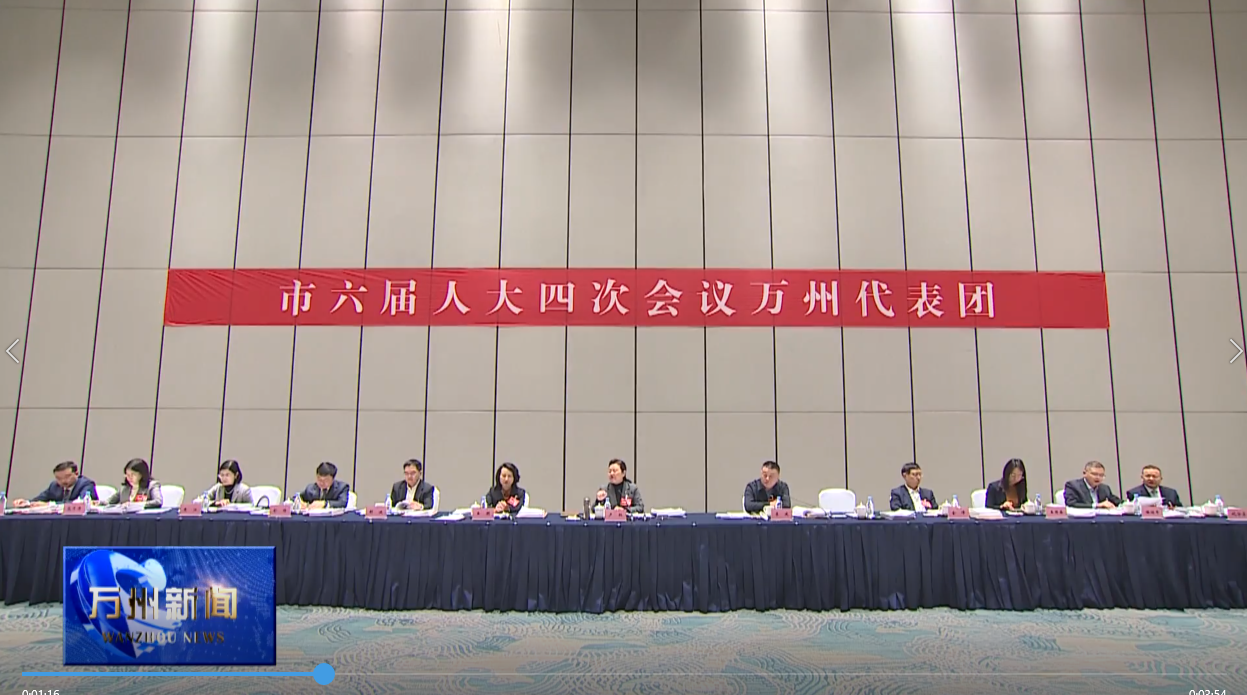 市六届人大四次会议万州代表团审查“十五五”规划纲要草案 卢红李庆王频封波参加