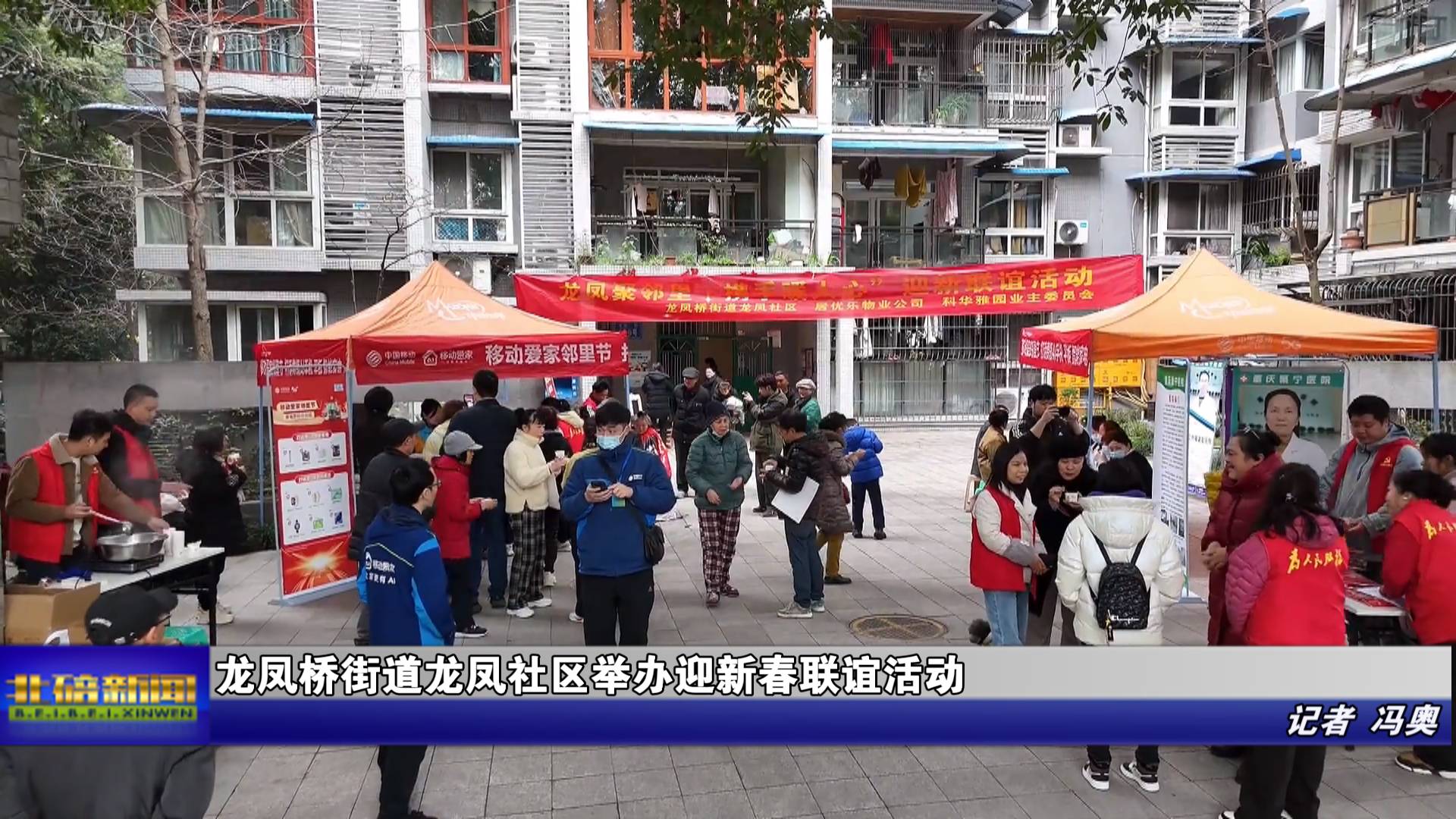 龙凤桥街道龙凤社区举办迎新春联谊活动