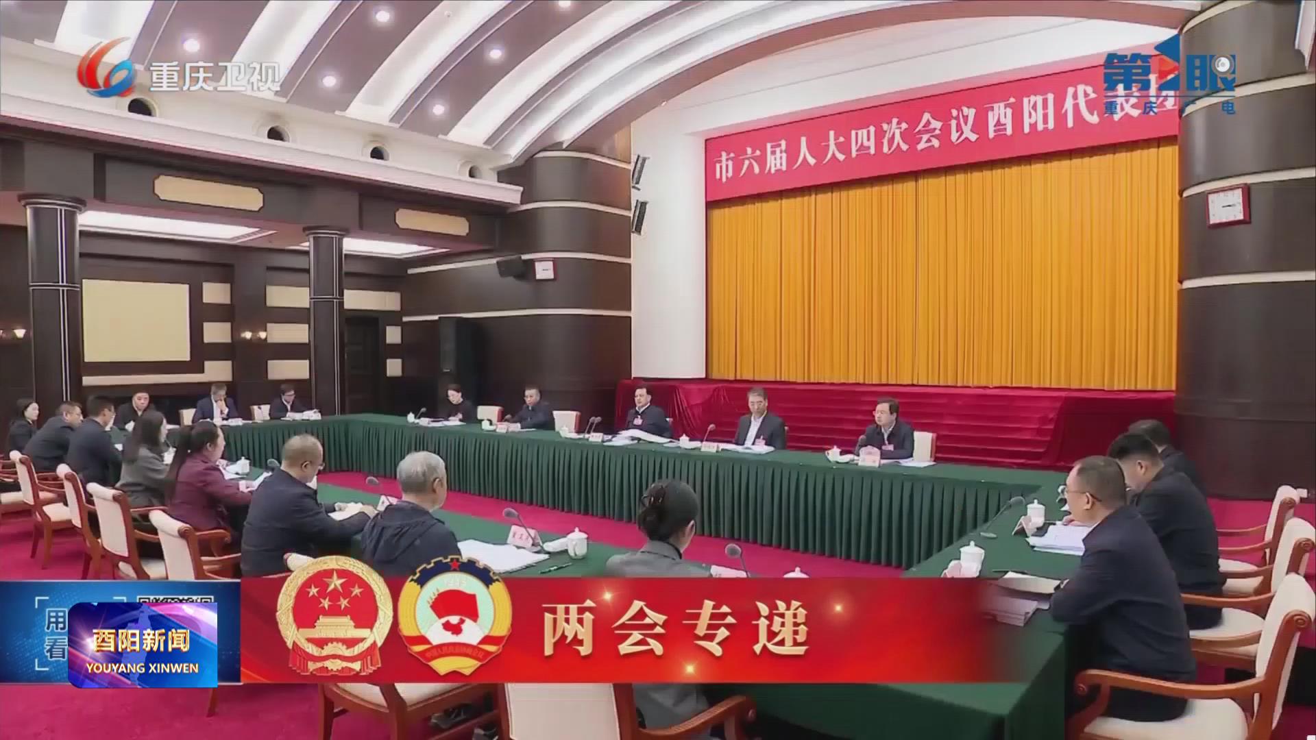 袁家军参加酉阳代表团审议