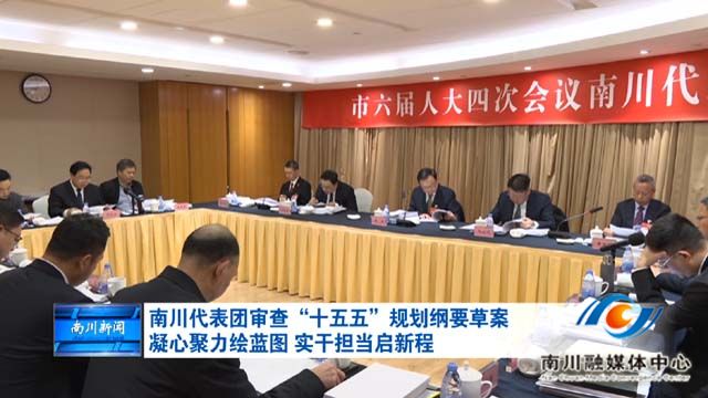 《重庆两会传真》南川代表团审查“十五五”规划纲要草案 凝心聚力绘蓝图 实干担当启新程