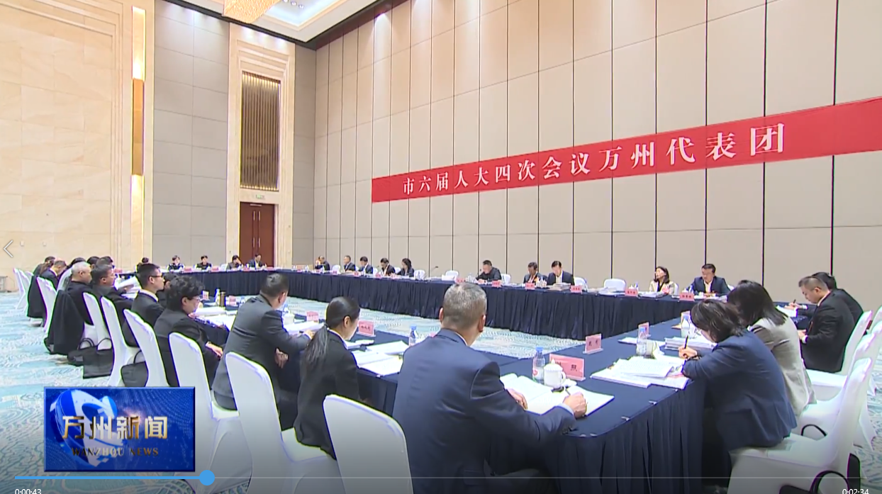 市六届人大四次会议万州代表团审议市人大常委会工作报告 李庆王频封波参加