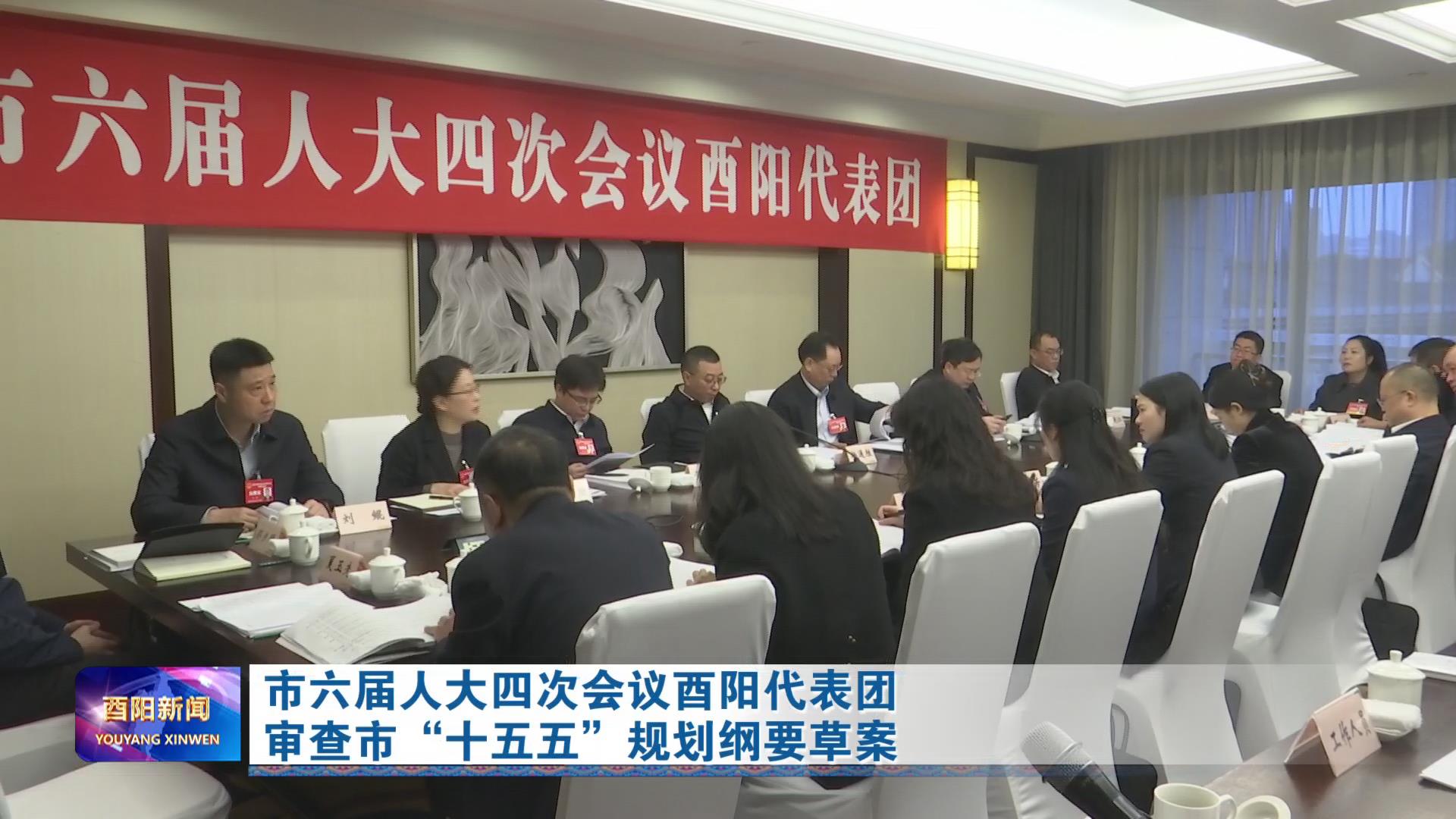 市六届人大四次会议酉阳代表团审查市“十五五”规划纲要草案