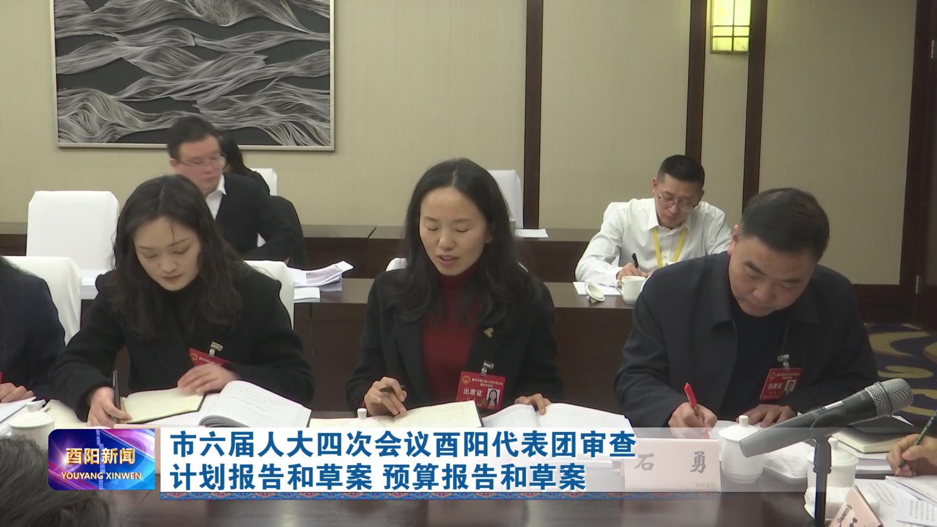 市六届人大四次会议酉阳代表团审查计划报告和草案 预算报告和草案