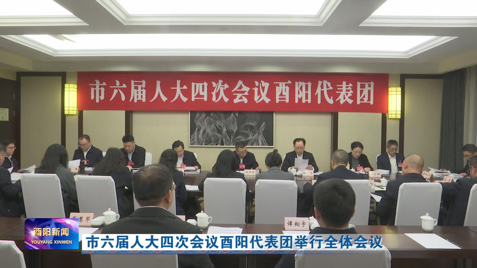 市人大四次会议酉阳代表团举行全体会议