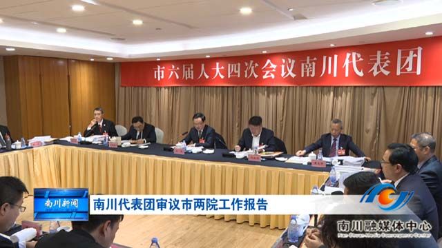 《重庆两会传真》南川代表团审议市两院工作报告