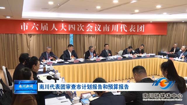《重庆两会传真》南川代表团审查市计划报告和预算报告