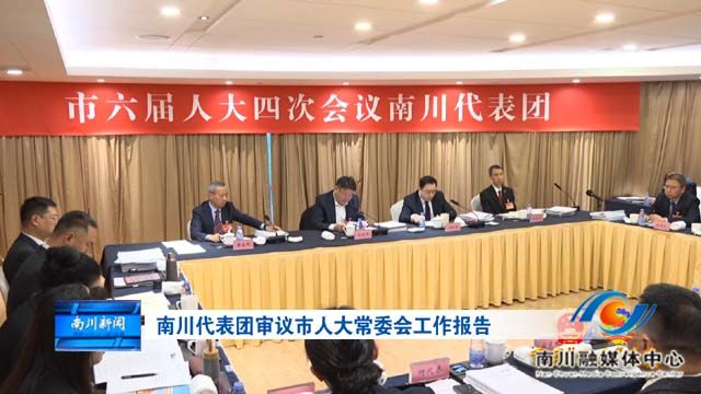 《重庆两会传真》 南川代表团审议市人大常委会工作报告