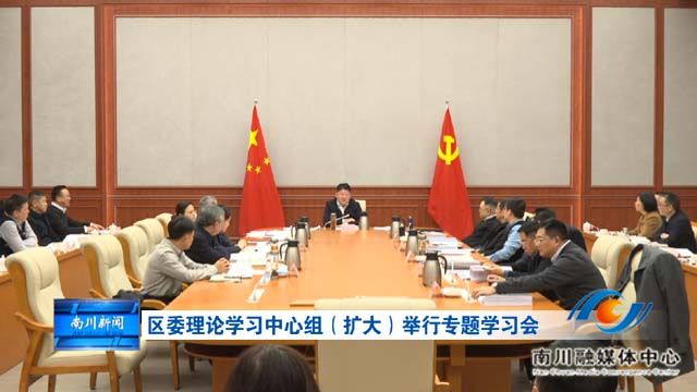 区委理论学习中心组（扩大）举行专题学习会