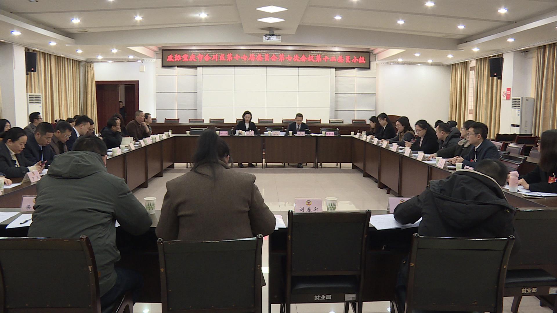 凝心聚智绘蓝图  参政议政谱新篇  区政协十七届七次会议举行分组讨论