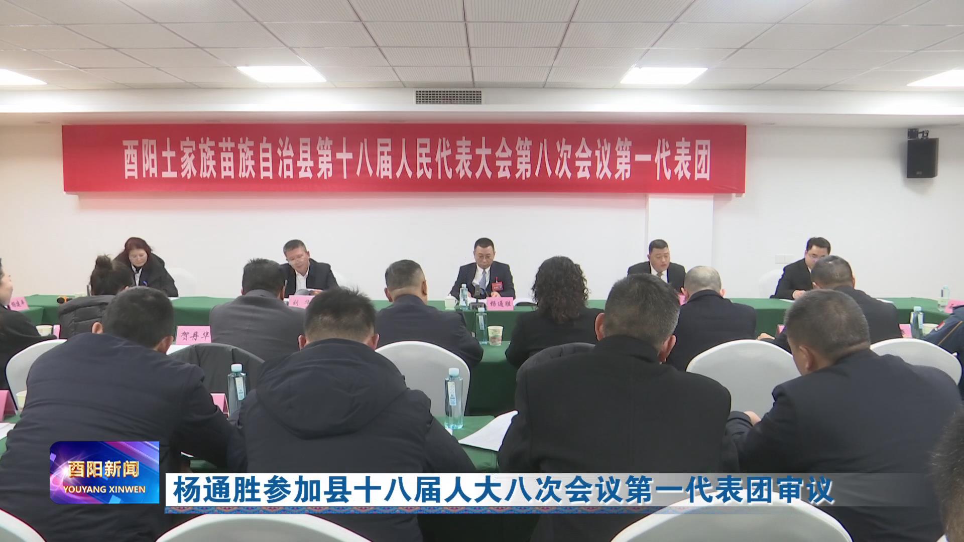 杨通胜参加县十八届人大八次会议第一代表团审议