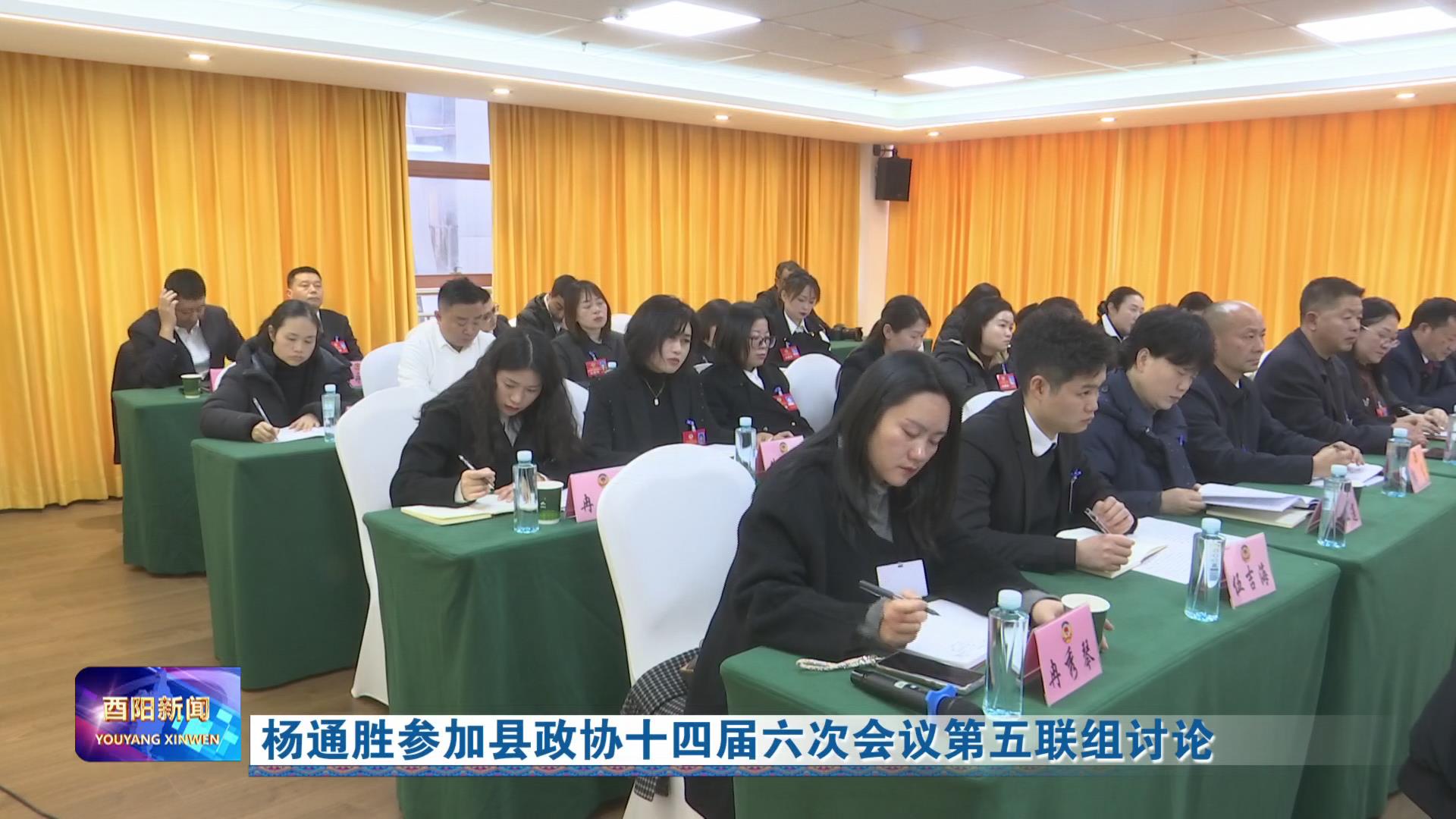杨通胜参加县政协十四届六次会议第五联组讨论
