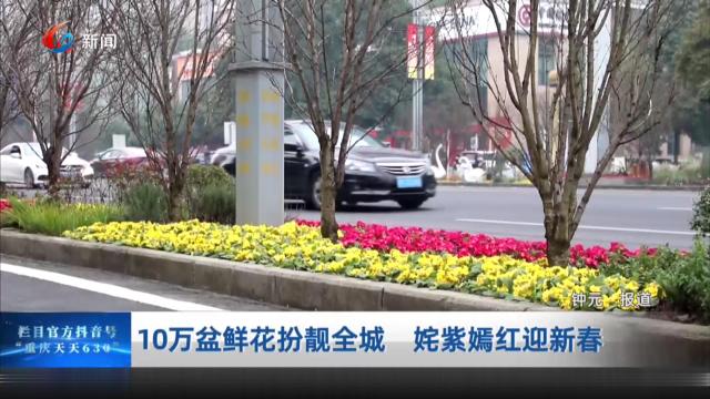 10万盆鲜花扮靓全城 姹紫嫣红迎新春