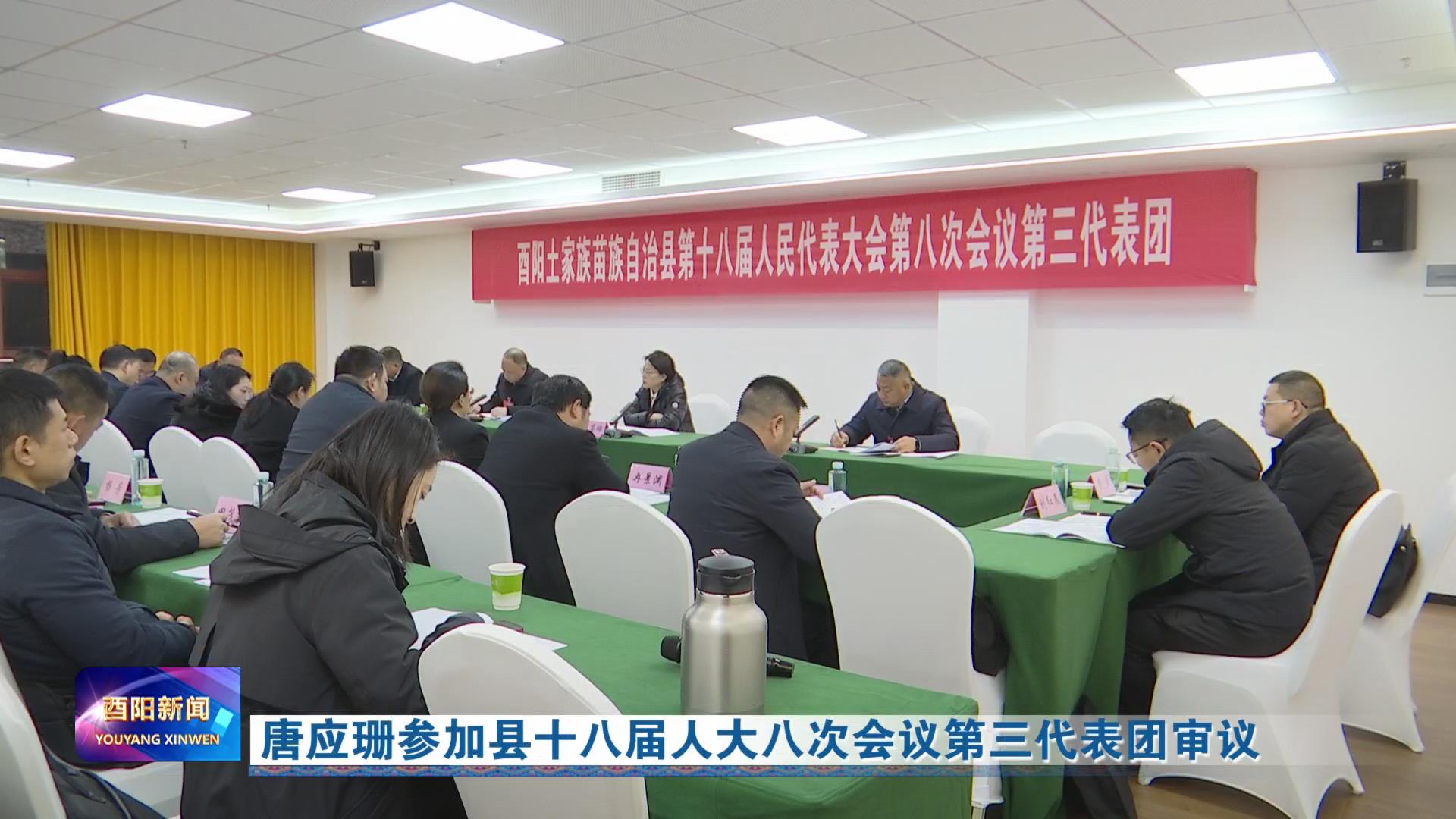 唐应珊参加县十八届人大八次会议第三代表团审议