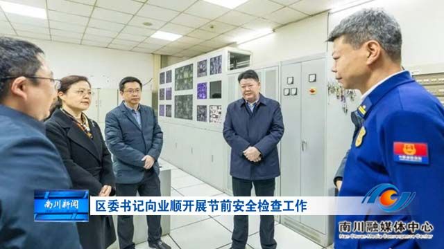 区委书记向业顺开展节前安全检查工作
