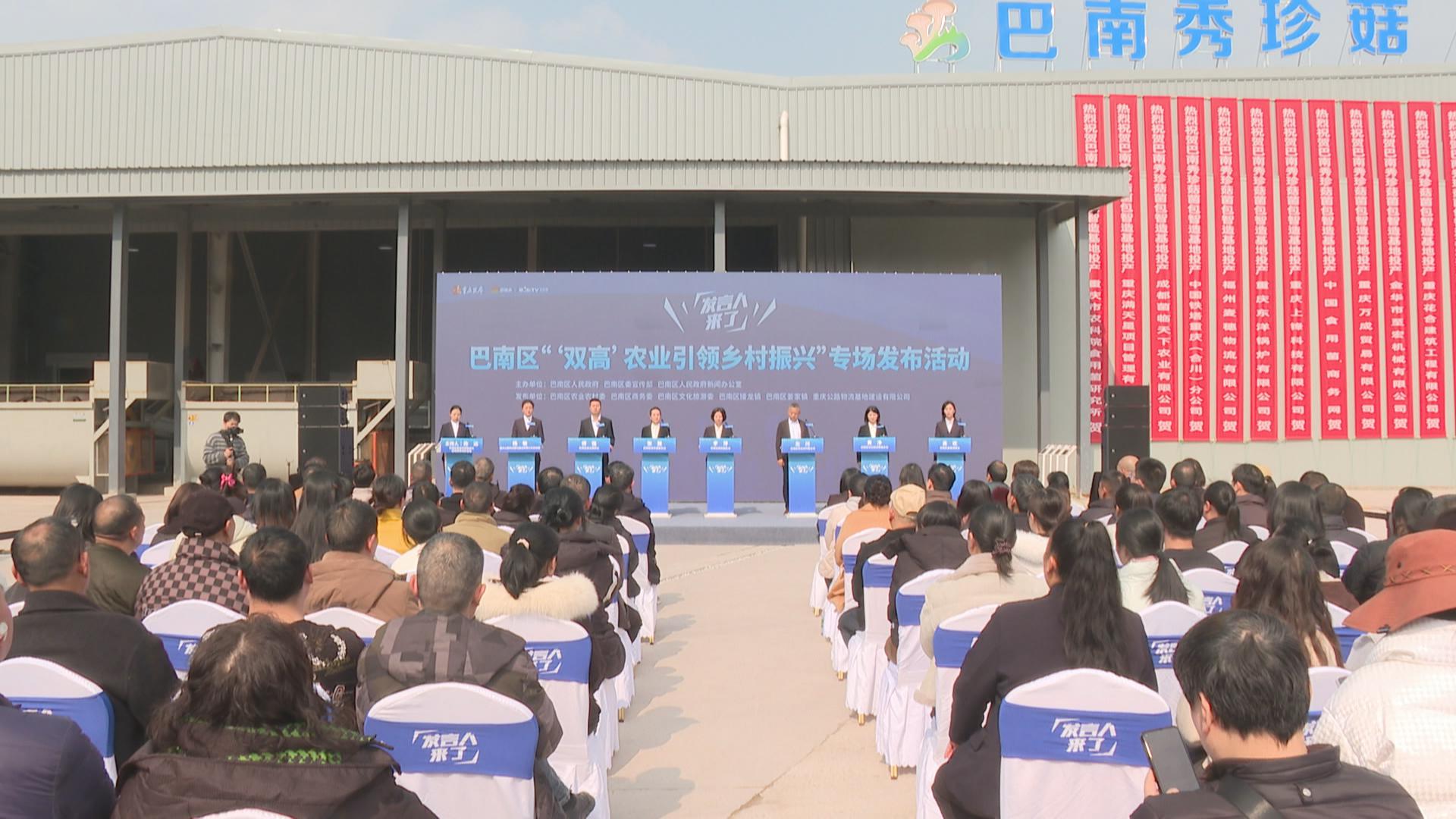 发言人来了—巴南区以“双高”农业绘就乡村振兴新图景