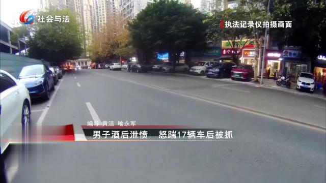 男子酒后泄愤 怒踹17辆车后被抓