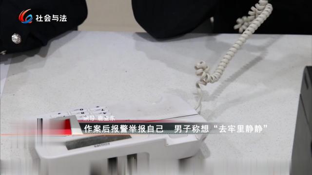 作案后报警举报自己 男子称想“去牢里静静” 