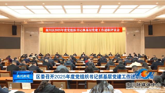 区委召开2025年度党组织书记抓基层党建工作述职评议会