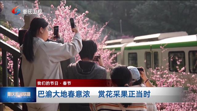 巴渝大地春意浓 赏花采果正当时